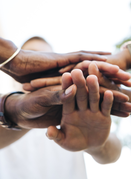 Objectifs de l'Africanisme - Nos buts et ambitions pour l'Afrique